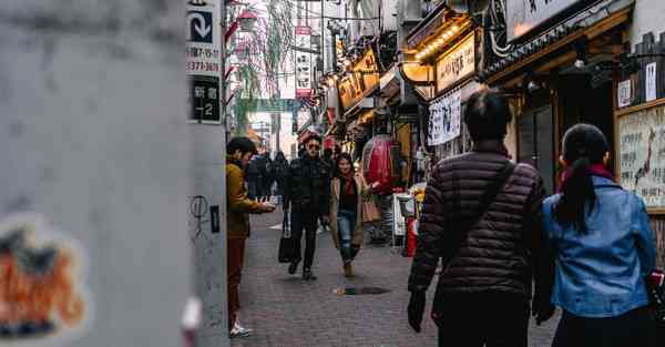 萤火虫代码饥荒