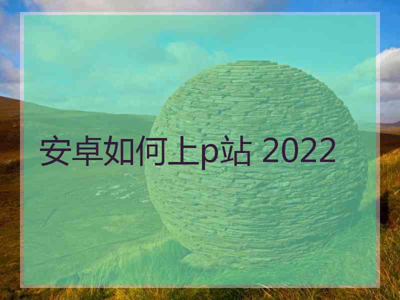 安卓如何上p站 2022