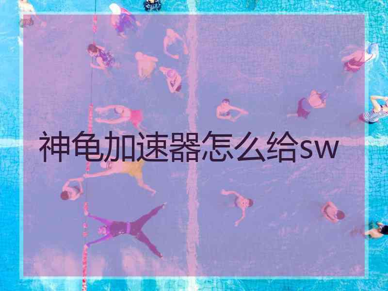 神龟加速器怎么给sw