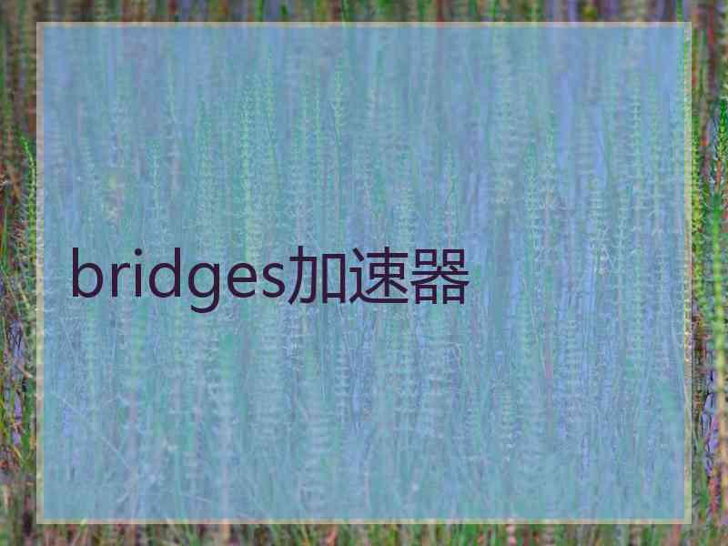 bridges加速器