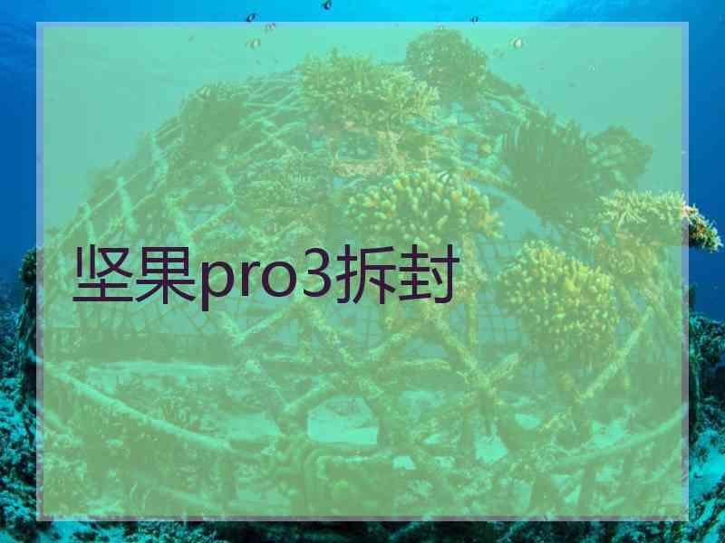 坚果pro3拆封