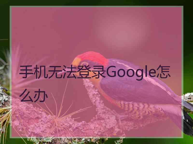 手机无法登录Google怎么办