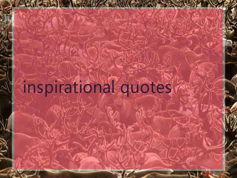 inspirational quotes