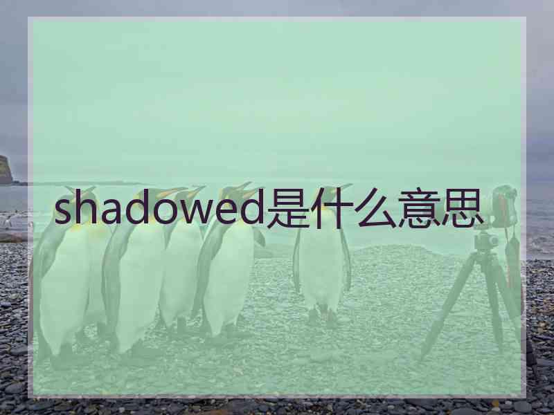 shadowed是什么意思