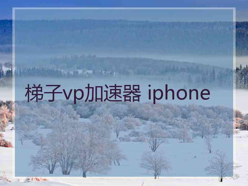 梯子vp加速器 iphone