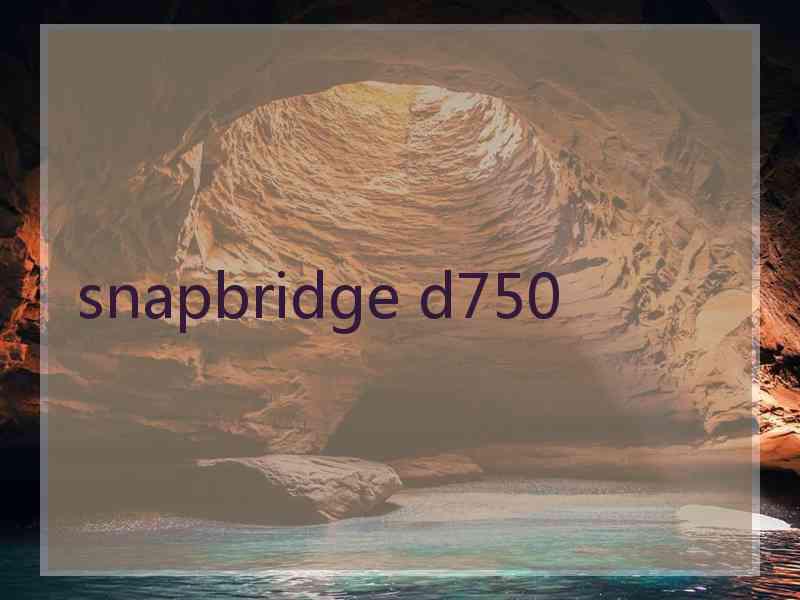 snapbridge d750