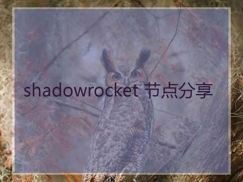 shadowrocket 节点分享