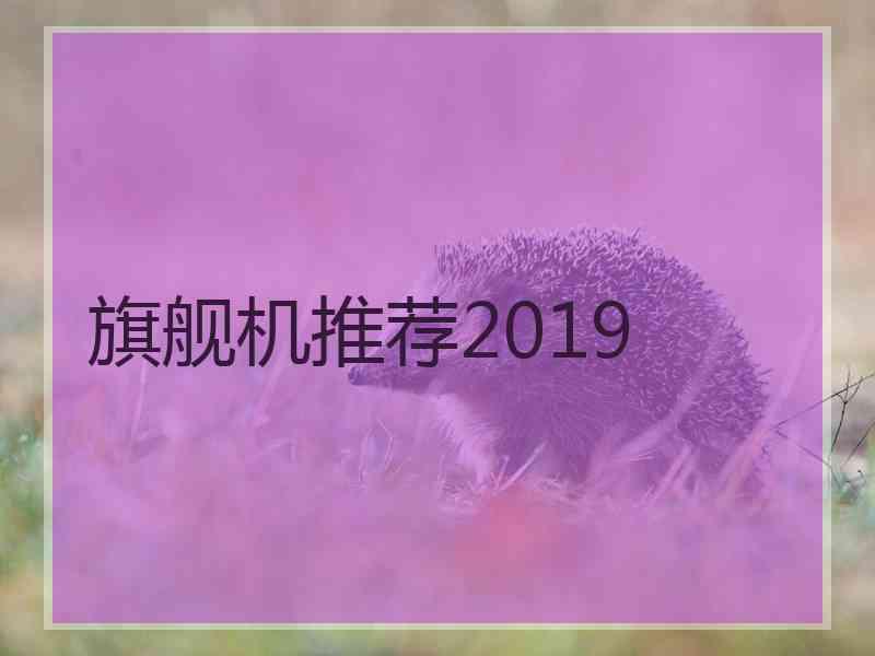 旗舰机推荐2019