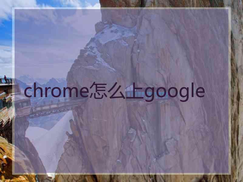 chrome怎么上google