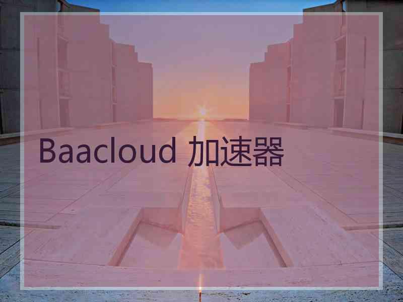 Baacloud 加速器