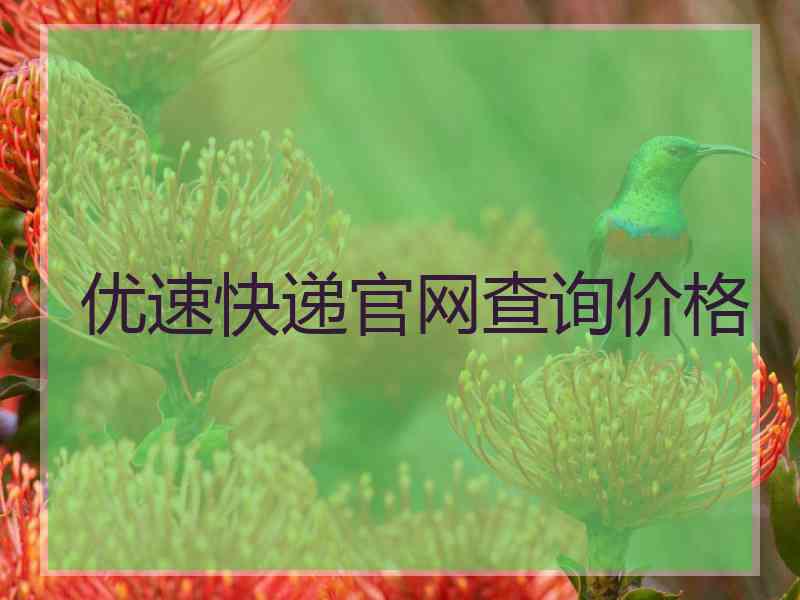 优速快递官网查询价格