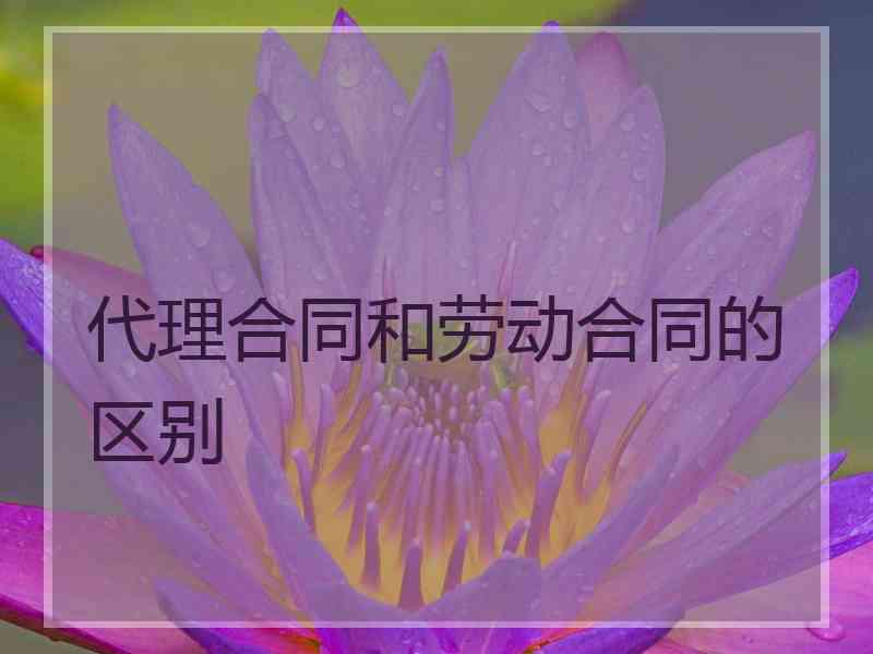 代理合同和劳动合同的区别