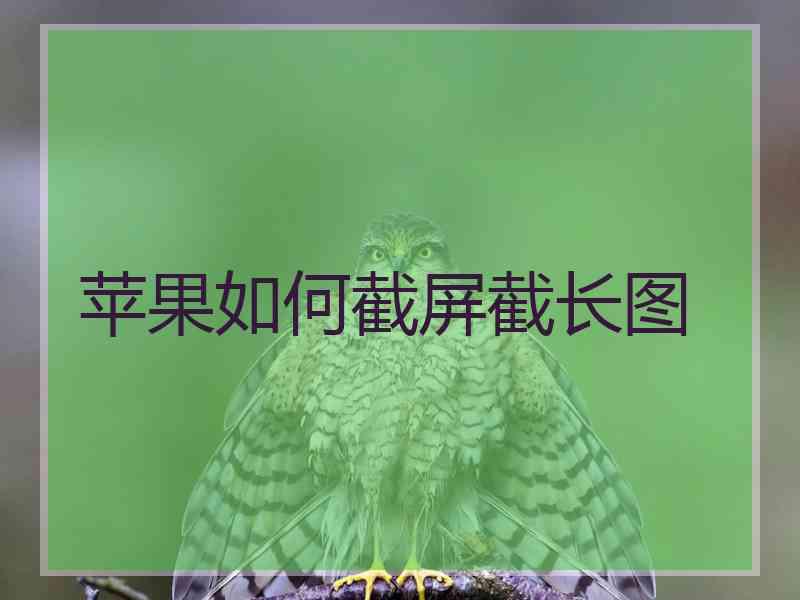 苹果如何截屏截长图