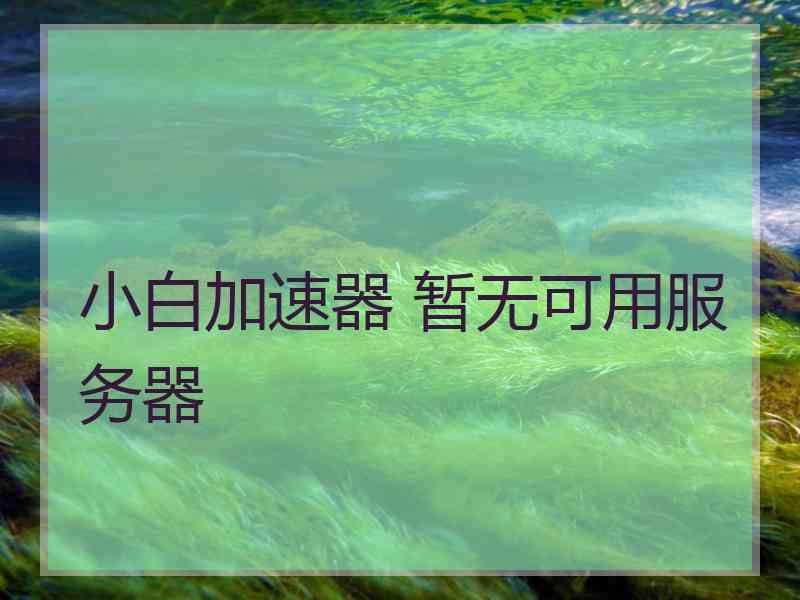 小白加速器 暂无可用服务器