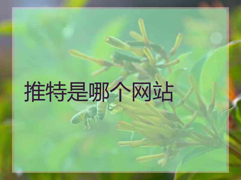 推特是哪个网站