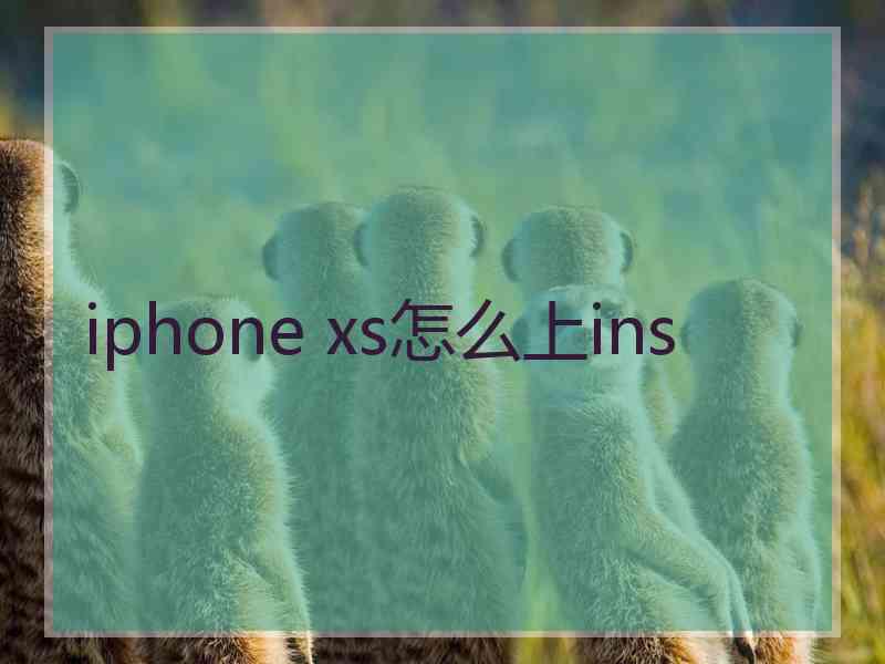 iphone xs怎么上ins