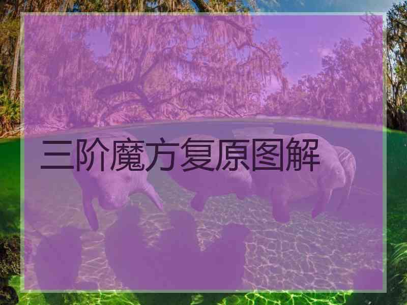 三阶魔方复原图解