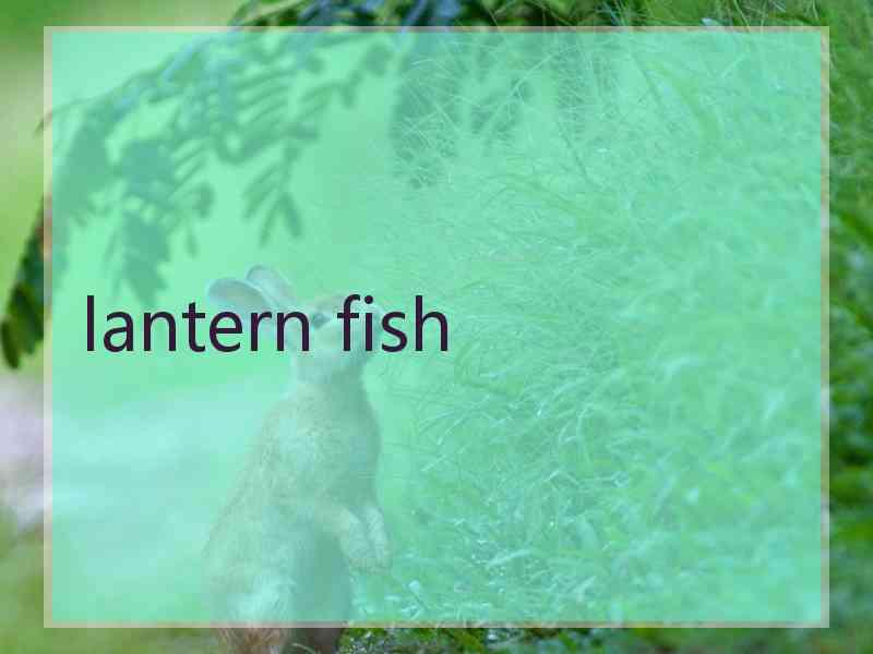 lantern fish