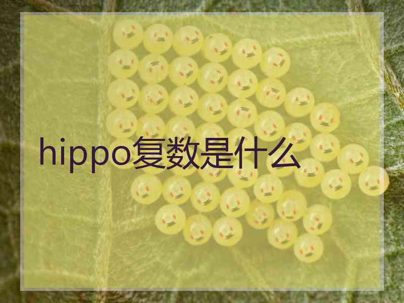 hippo复数是什么