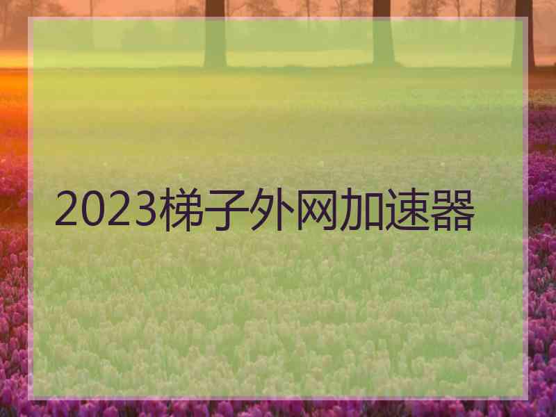 2023梯子外网加速器