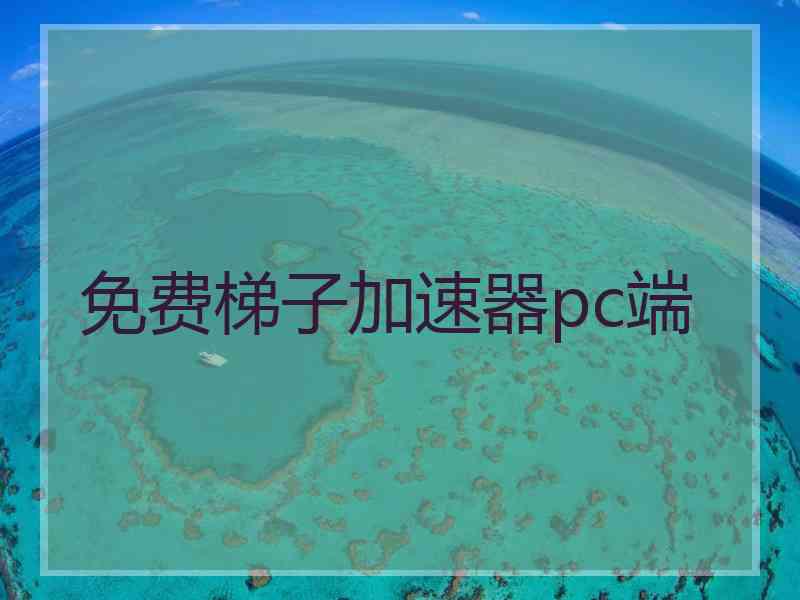 免费梯子加速器pc端