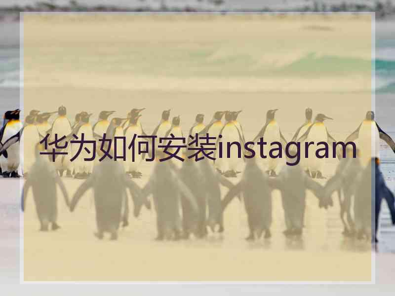 华为如何安装instagram