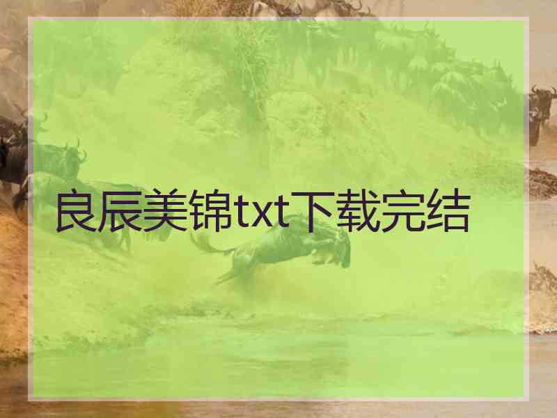 良辰美锦txt下载完结