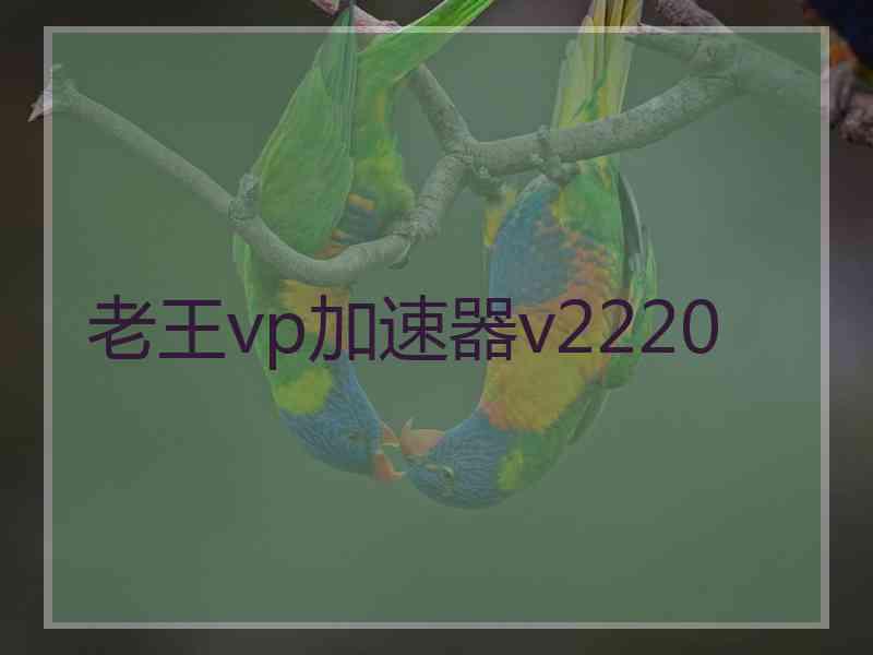 老王vp加速器v2220