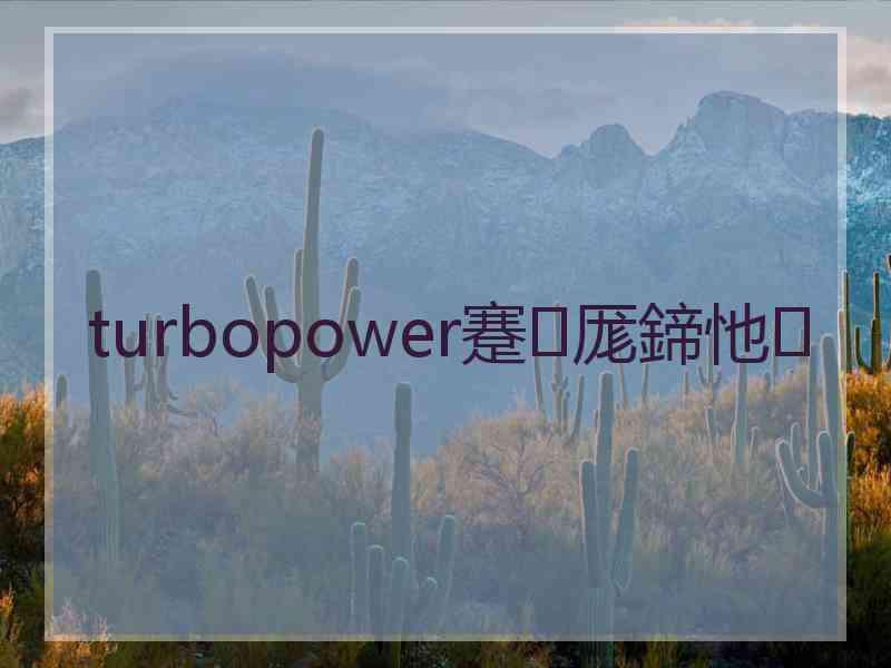 turbopower蹇厖鍗忚