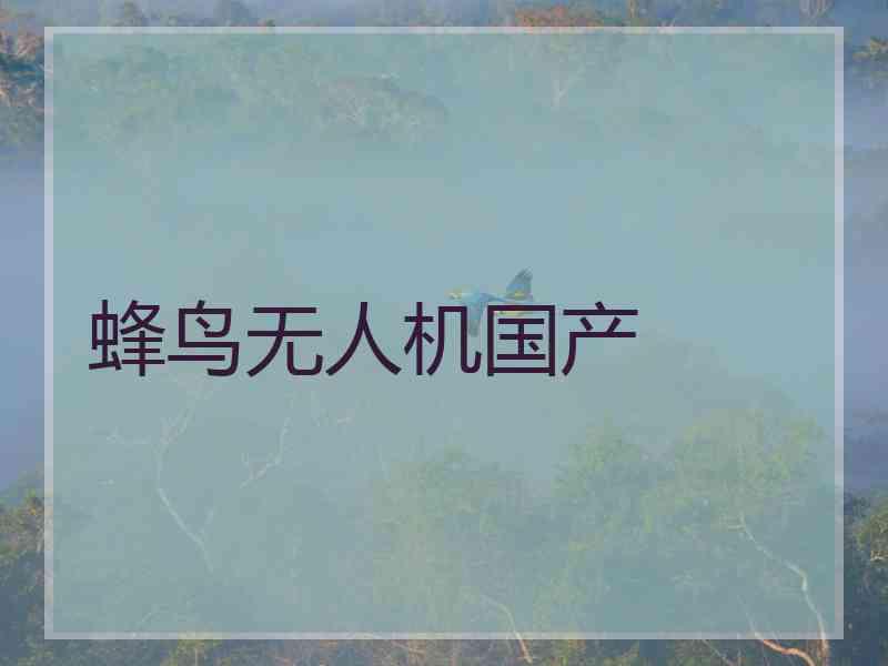 蜂鸟无人机国产