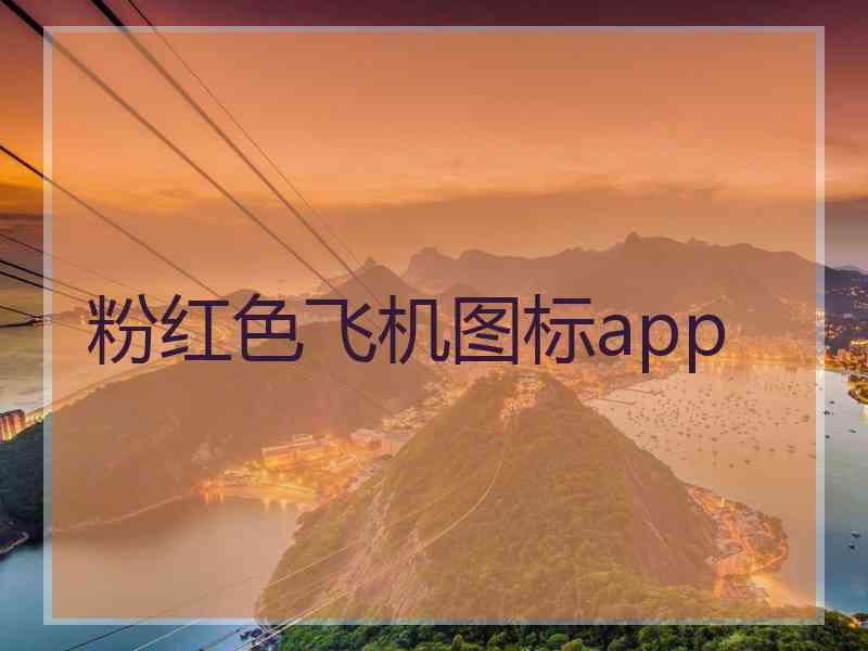 粉红色飞机图标app