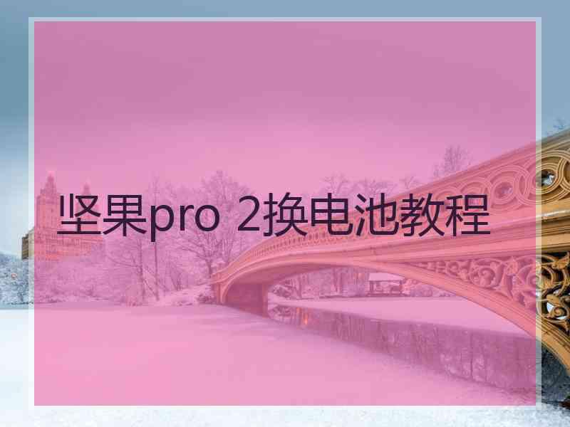 坚果pro 2换电池教程