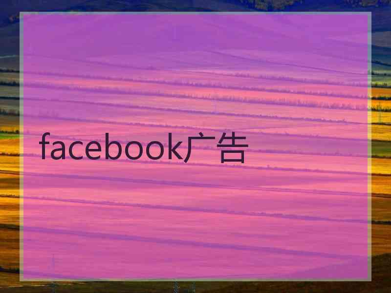 facebook广告