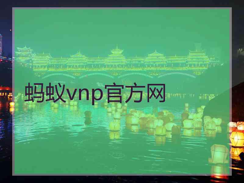 蚂蚁vnp官方网