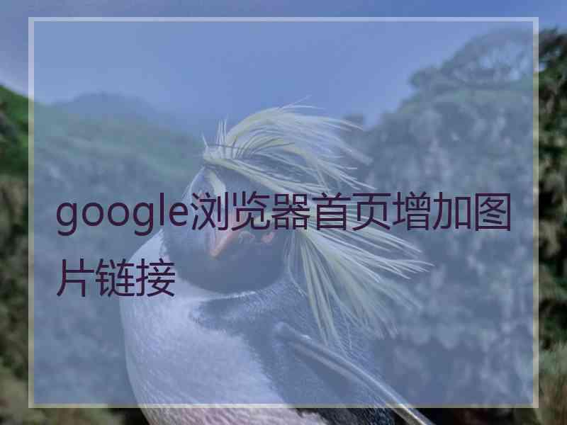 google浏览器首页增加图片链接