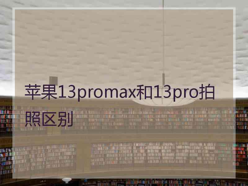 苹果13promax和13pro拍照区别