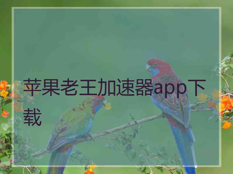 苹果老王加速器app下载