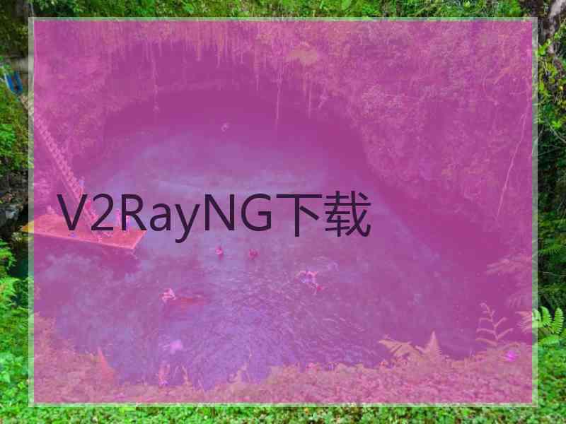 V2RayNG下载