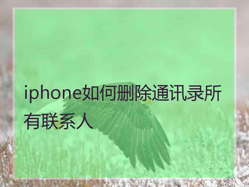 iphone如何删除通讯录所有联系人