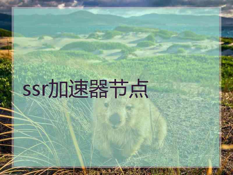 ssr加速器节点