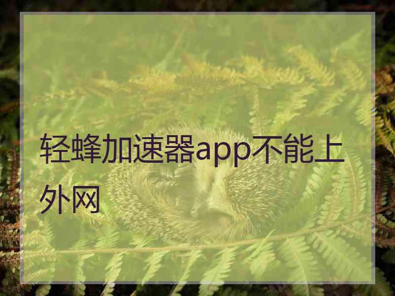 轻蜂加速器app不能上外网