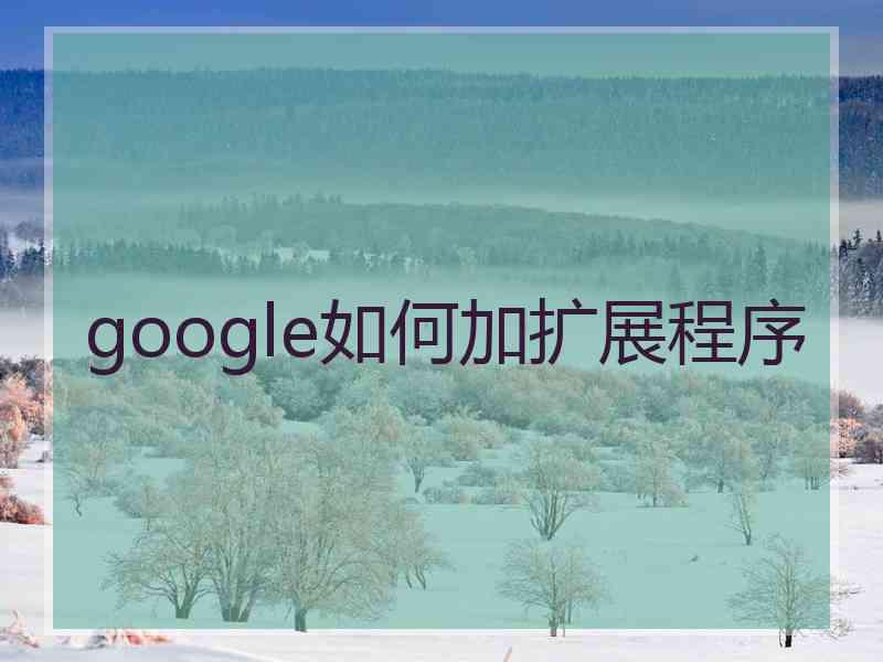 google如何加扩展程序