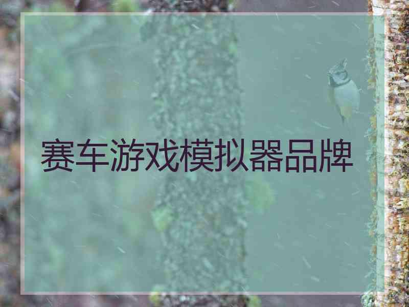 赛车游戏模拟器品牌