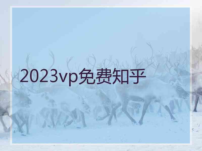 2023vp免费知乎