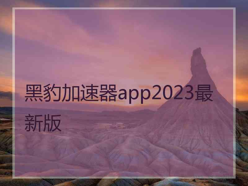 黑豹加速器app2023最新版