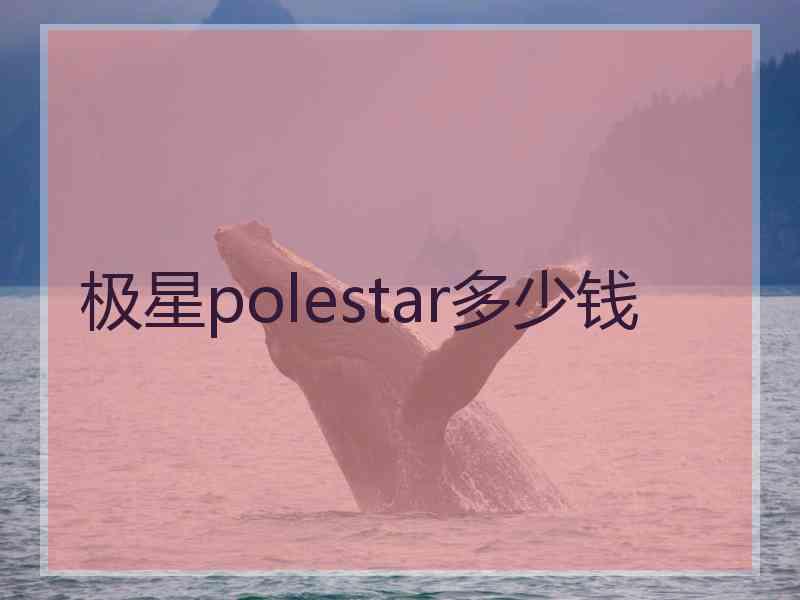 极星polestar多少钱