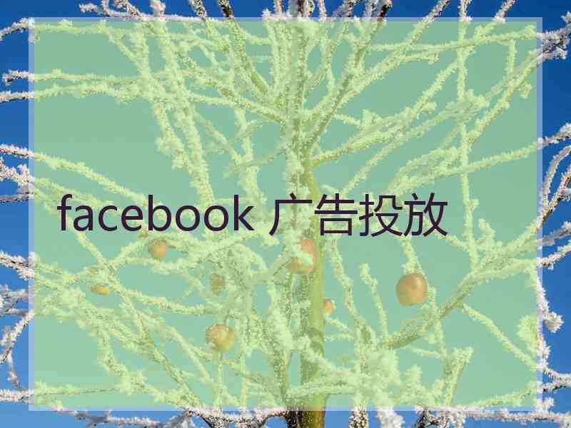 facebook 广告投放