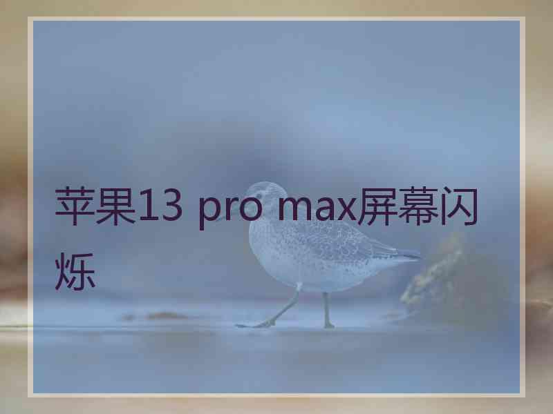 苹果13 pro max屏幕闪烁