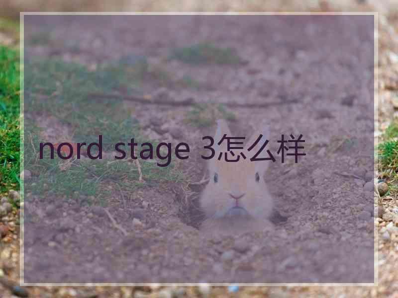 nord stage 3怎么样