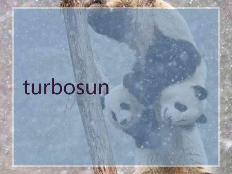 turbosun